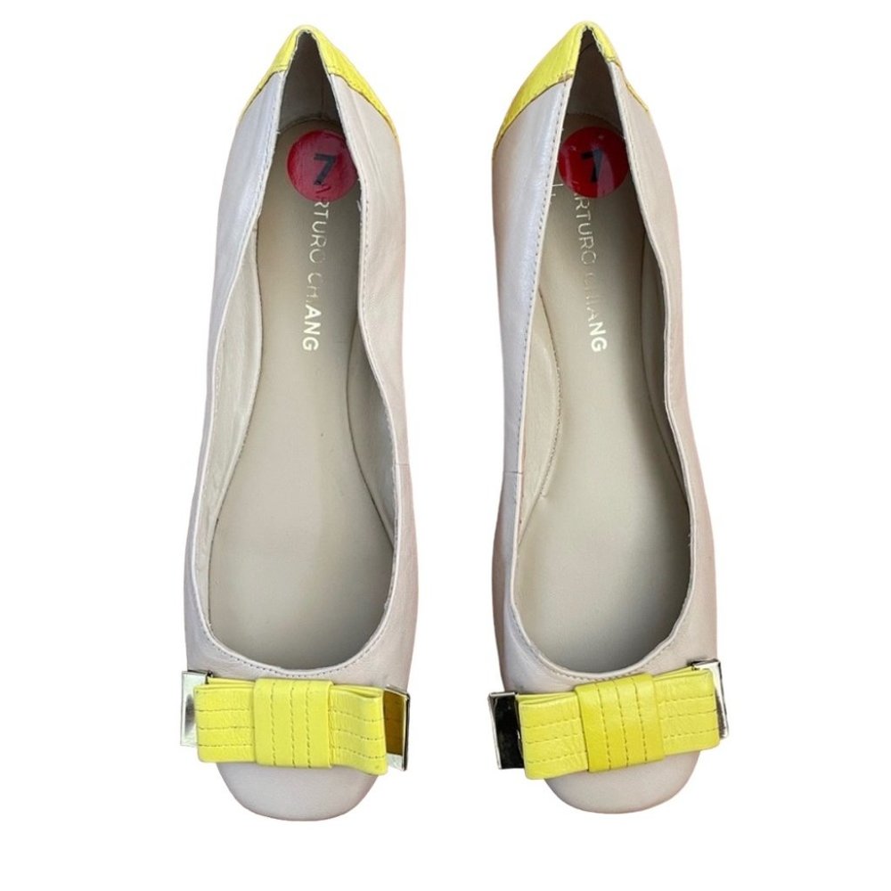 Arturo Chiang ballerina flats 7